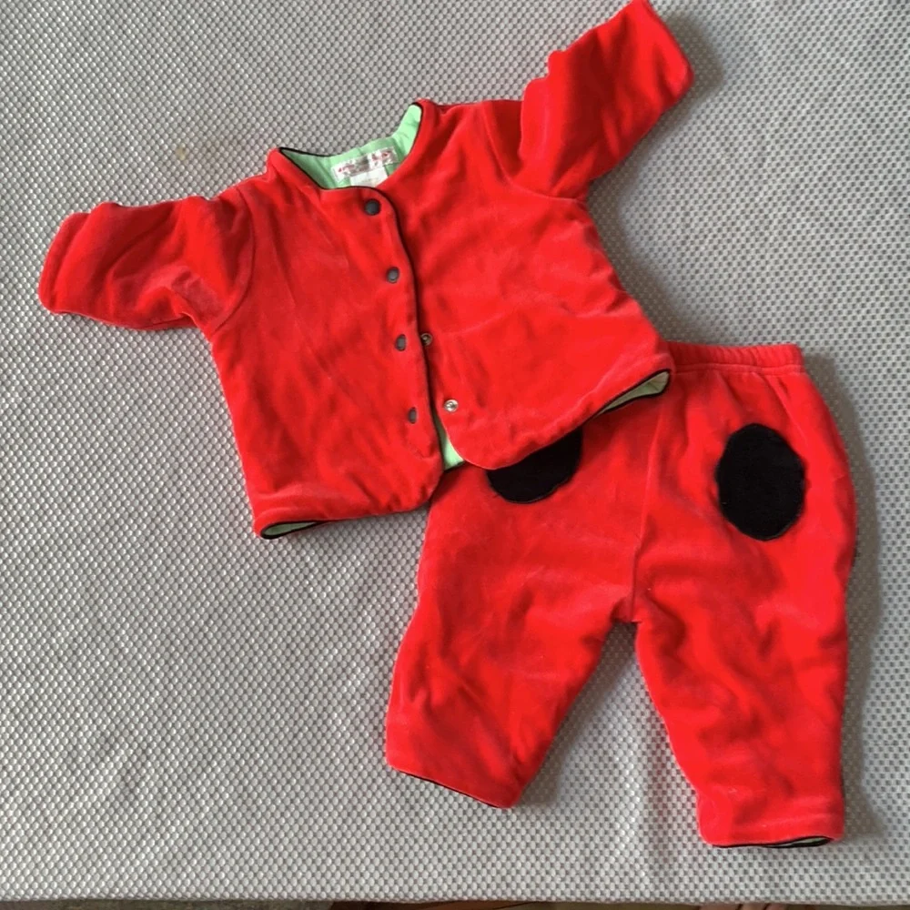Anne Geddes Baby Ladybug Matching Set